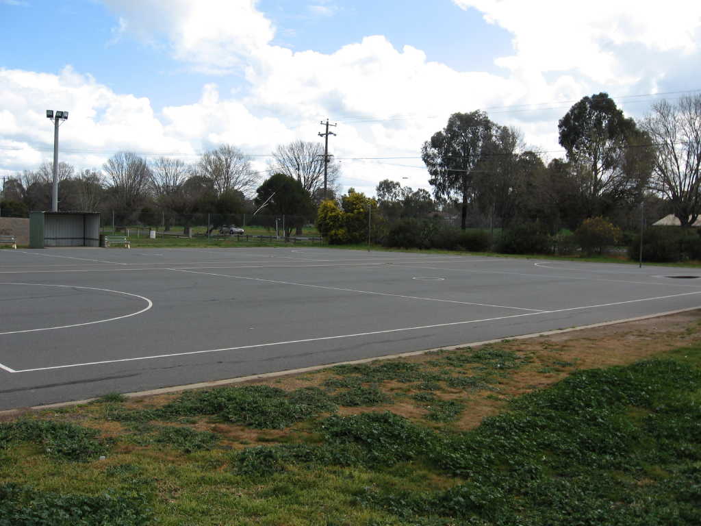 netball